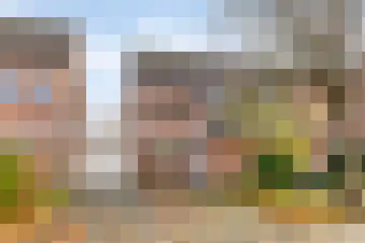 Ubbemastins 45 in Leeuwarden