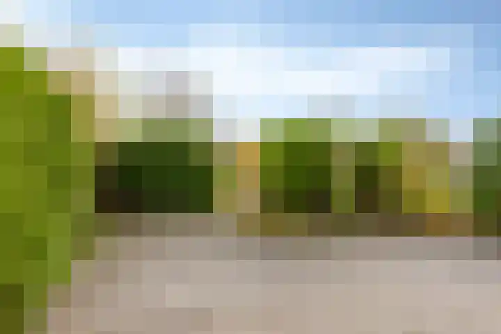 Ubbemastins 45 Leeuwarden thumbnail 30