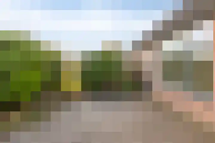 Ubbemastins 45 Leeuwarden thumbnail 31