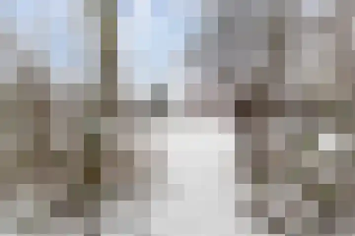Ubbenasingel 10 Spijk thumbnail 4
