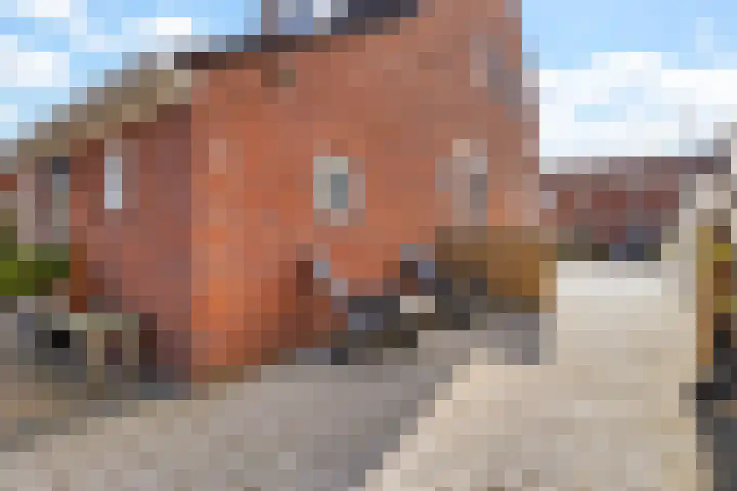 Ubbenasingel 13 Spijk thumbnail 33