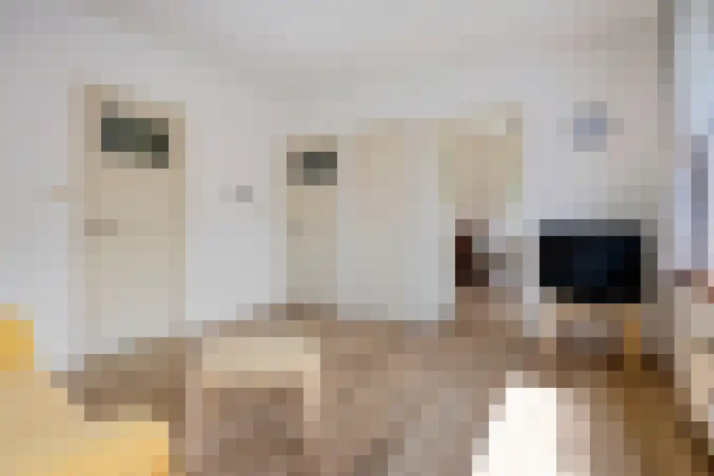 Ubbenasingel 67 Spijk thumbnail 27