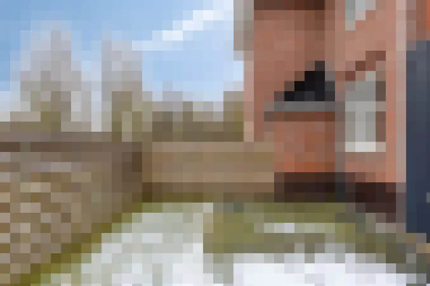 Ubbenslaan 1 a Delfzijl thumbnail 25