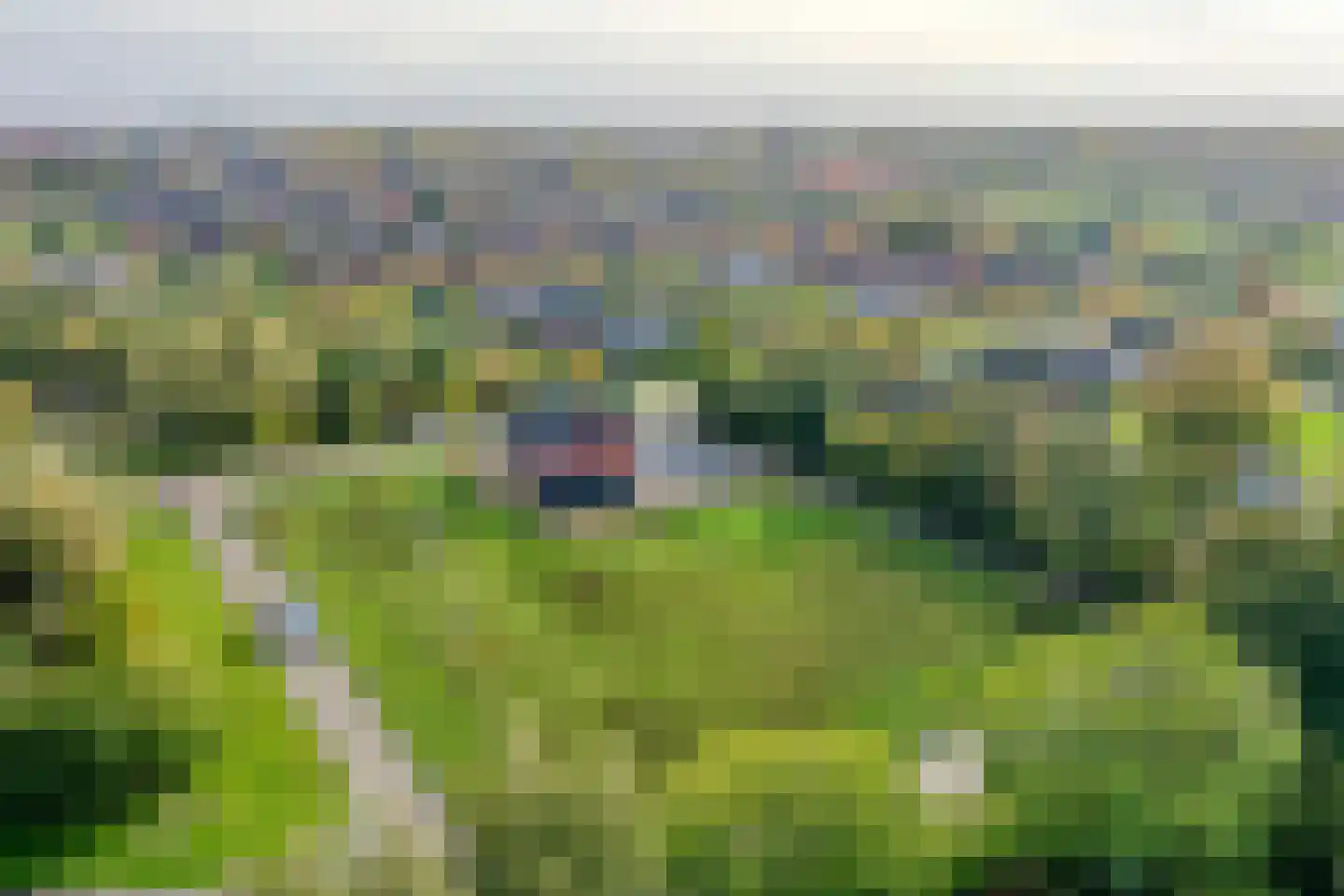 Ubbenslaan 1 Delfzijl thumbnail 38