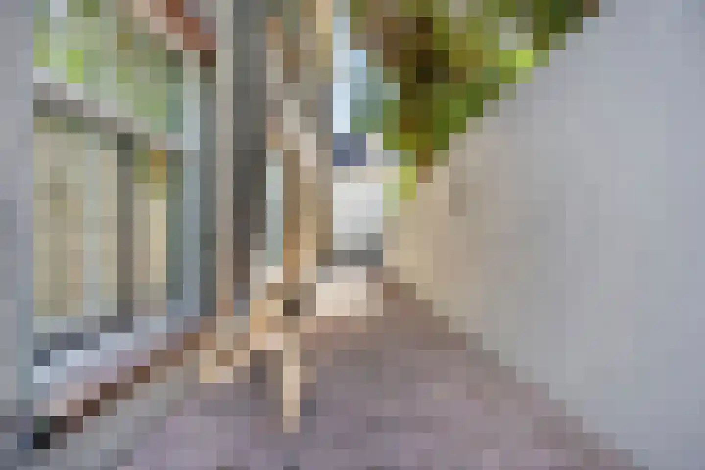 Ubbergse Holleweg 10 Ubbergen thumbnail 21