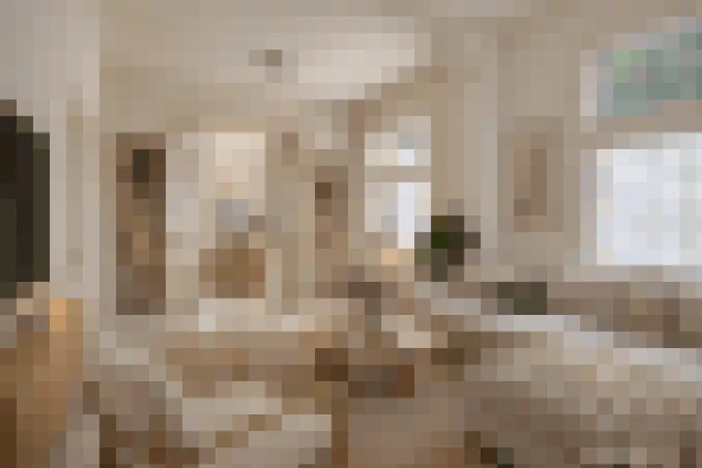Ubbergse Holleweg 10 Ubbergen thumbnail 8