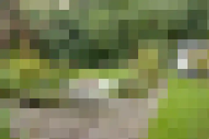 Ubbergse Holleweg 12 Ubbergen thumbnail 43