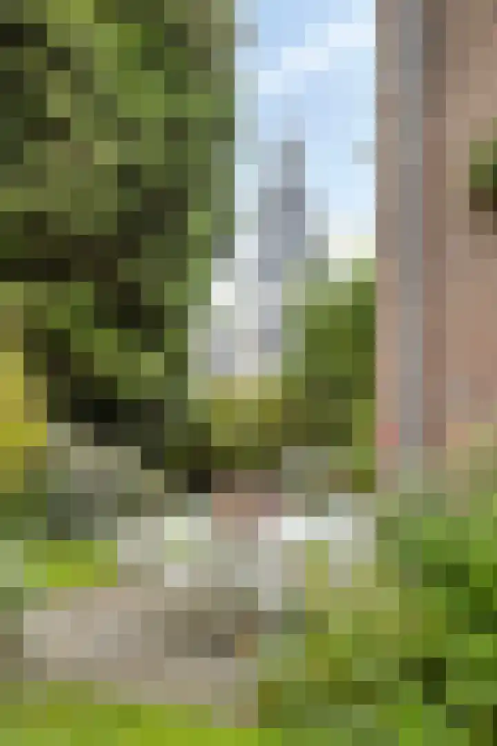 Ubbergse Holleweg 12 Ubbergen thumbnail 44