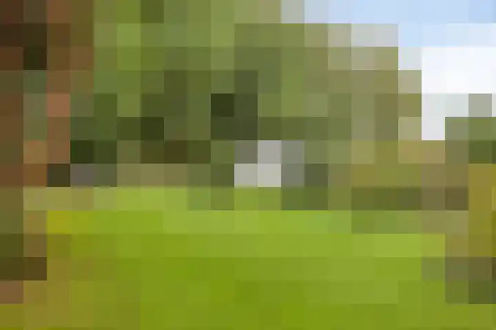 Ubbergse Holleweg 12 Ubbergen thumbnail 48