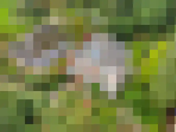 Ubbergse Holleweg 12 Ubbergen thumbnail 51