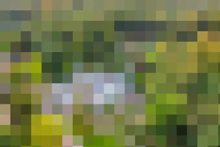 Ubbergse Holleweg 12 Ubbergen thumbnail 52