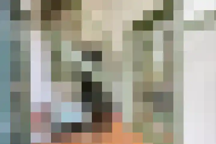 Ubbergse Holleweg 12 Ubbergen thumbnail 8