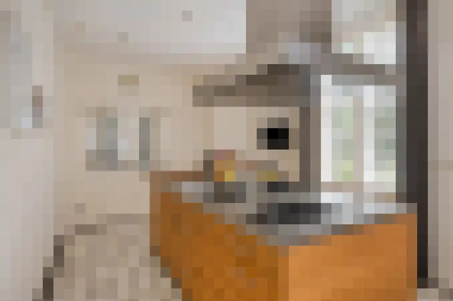 Ubbergse Holleweg 20 Ubbergen thumbnail 10
