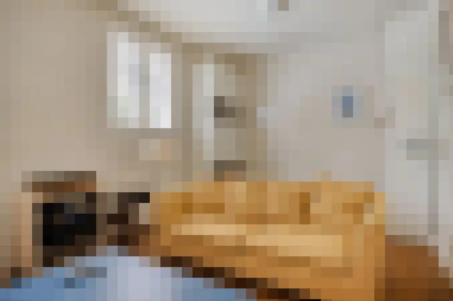 Ubbergse Holleweg 20 Ubbergen thumbnail 18