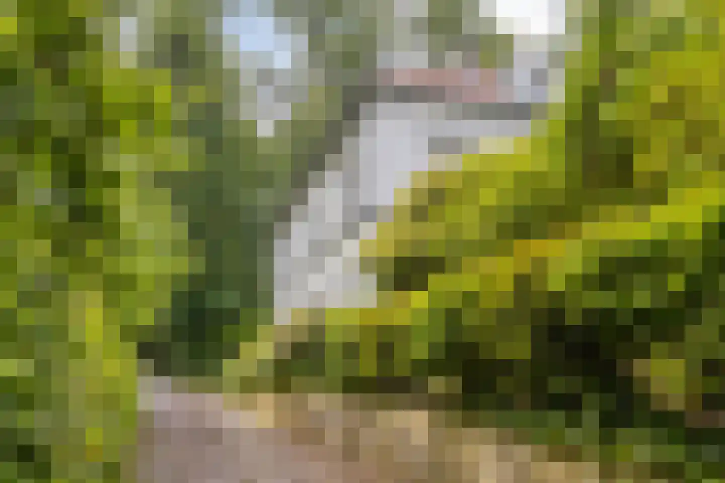 Ubbergse Holleweg 20 Ubbergen thumbnail 5