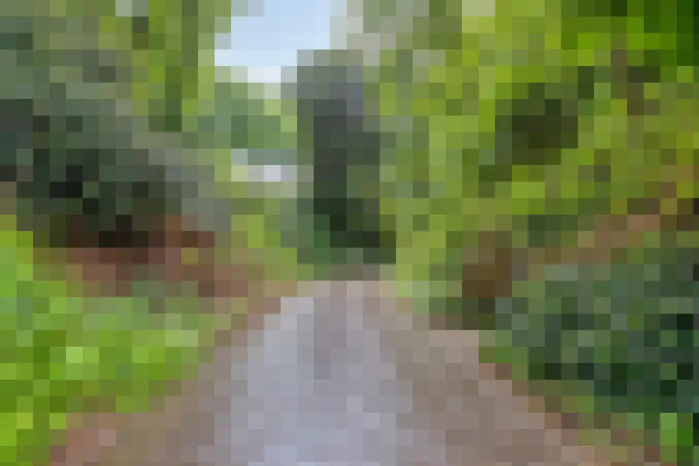 Ubbergse Holleweg 20 Ubbergen thumbnail 50