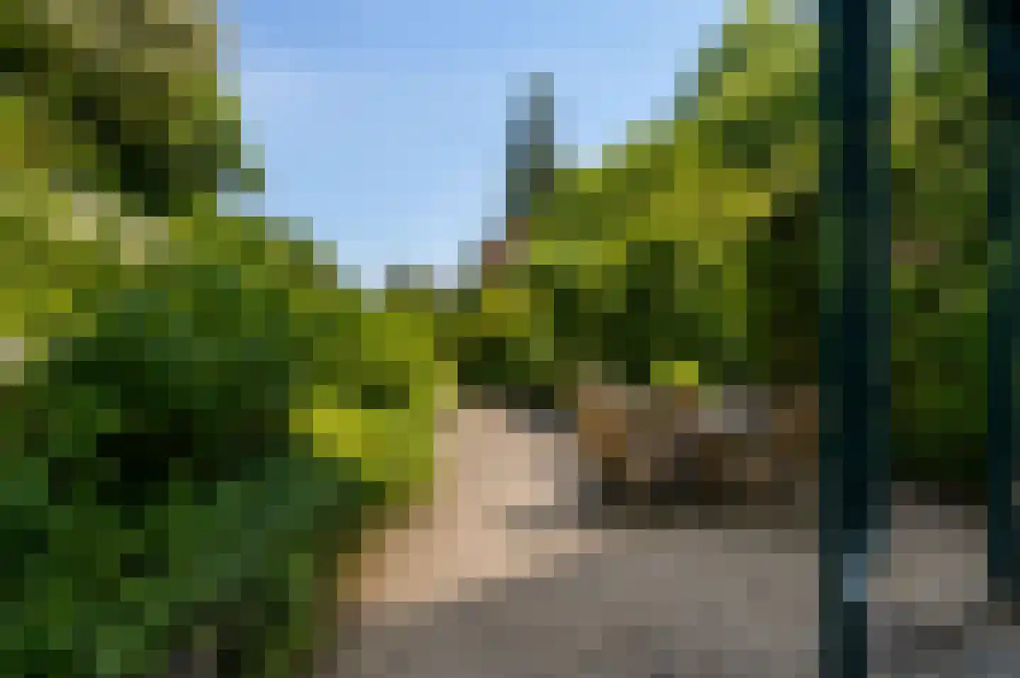 Ubbergse Holleweg 20 Ubbergen thumbnail 51