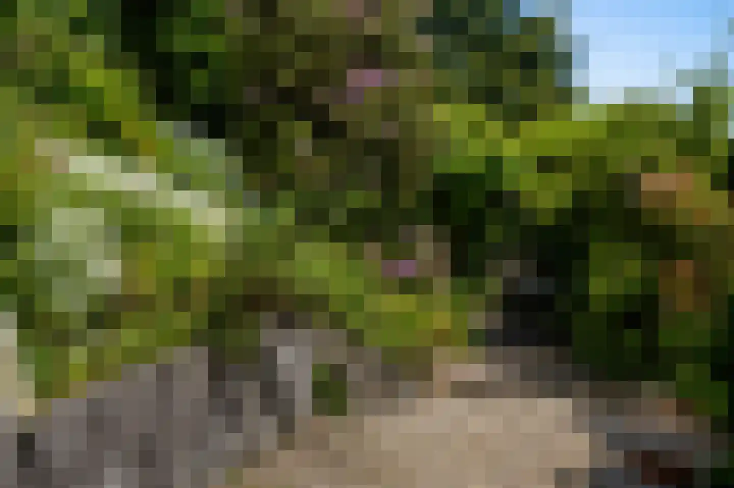 Ubbergse Holleweg 20 Ubbergen thumbnail 52