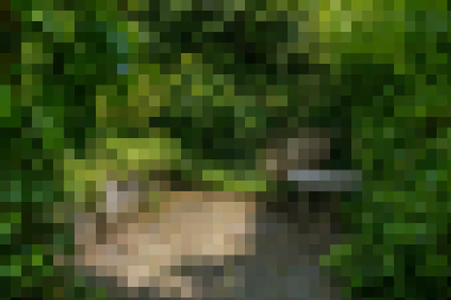 Ubbergse Holleweg 20 Ubbergen thumbnail 53