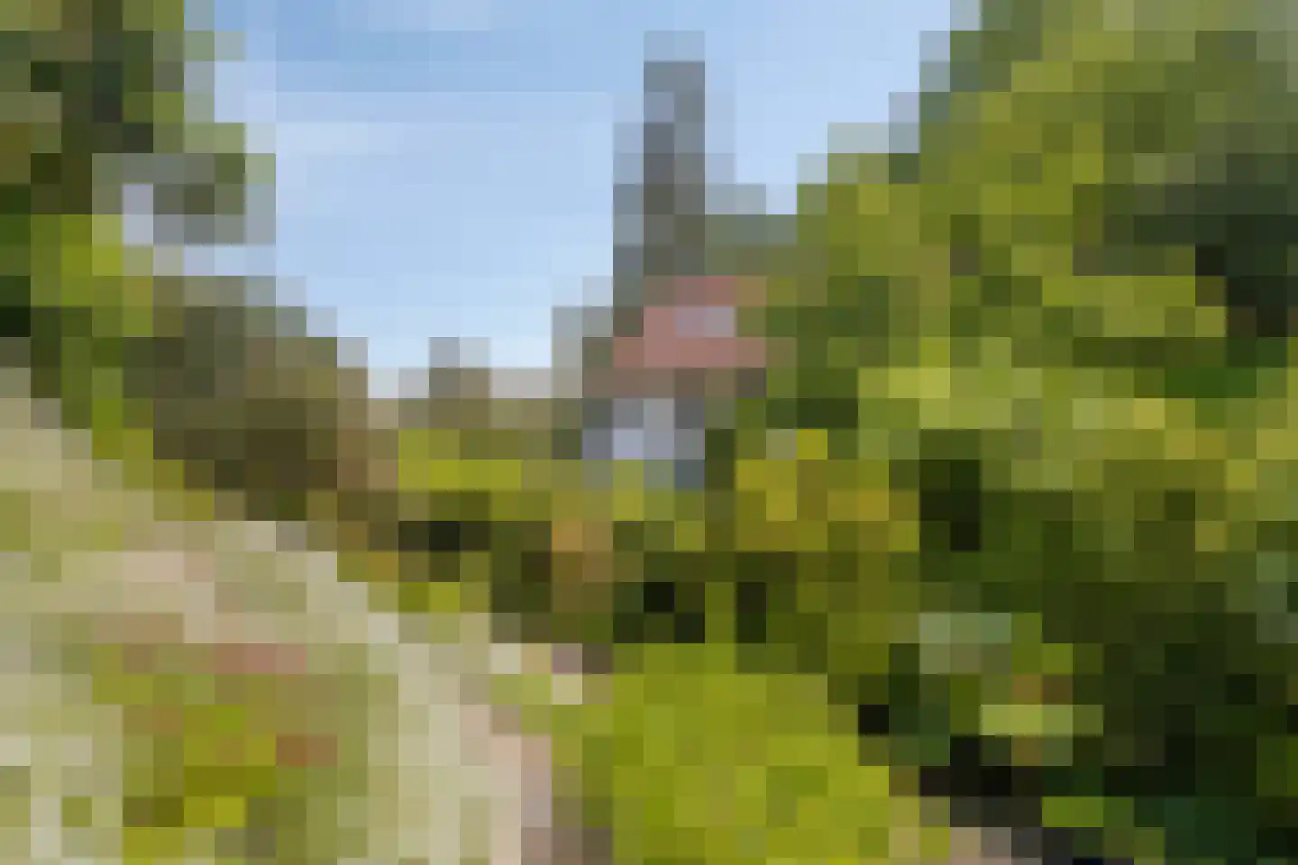 Ubbergse Holleweg 20 Ubbergen thumbnail 54