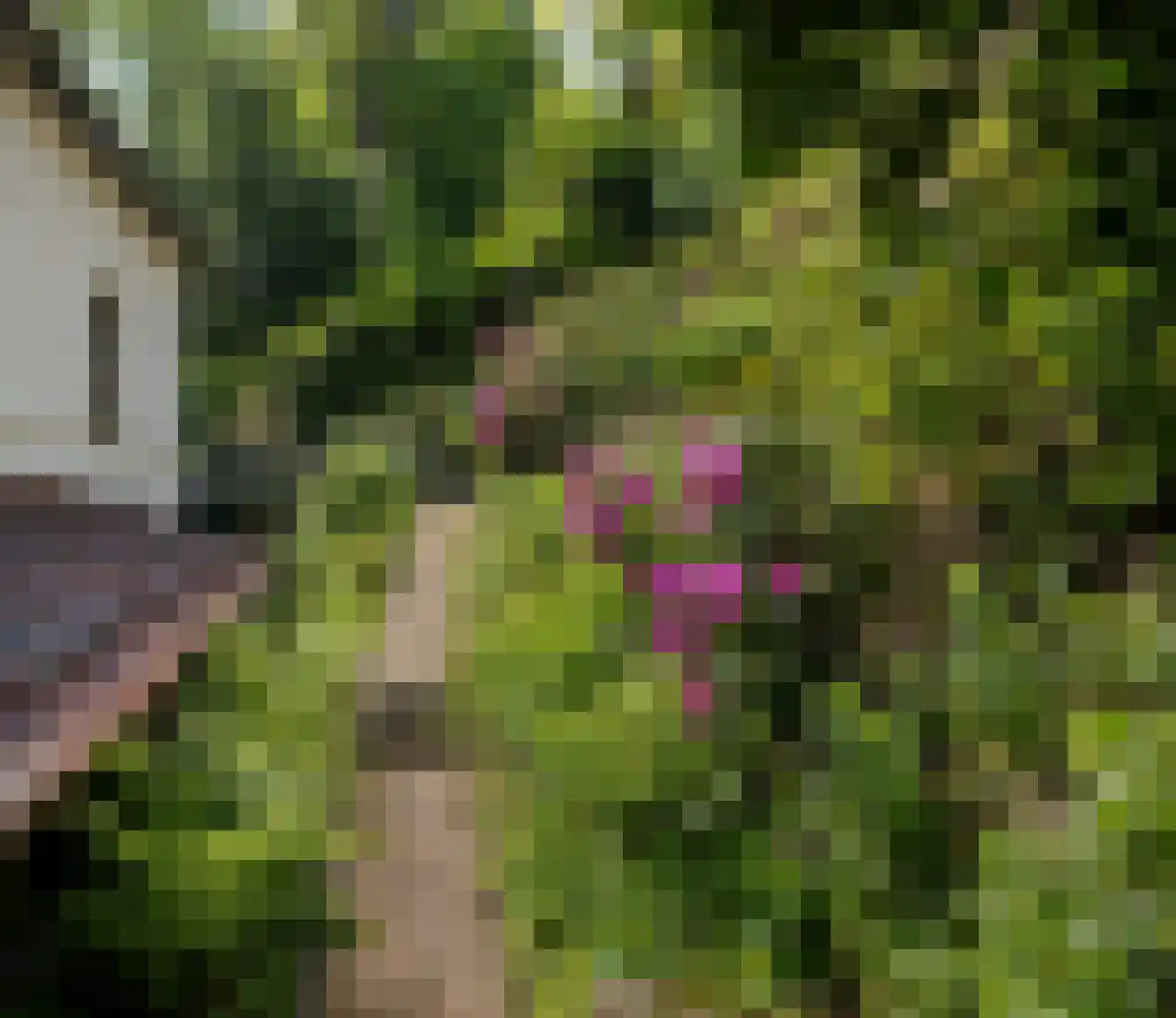 Ubbergse Holleweg 20 Ubbergen thumbnail 55