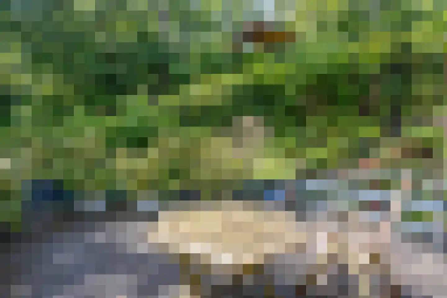 Ubbergse Holleweg 20 Ubbergen thumbnail 57
