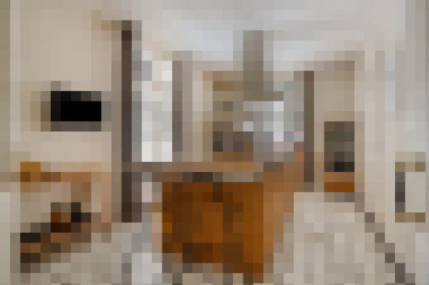 Ubbergse Holleweg 20 Ubbergen thumbnail 8
