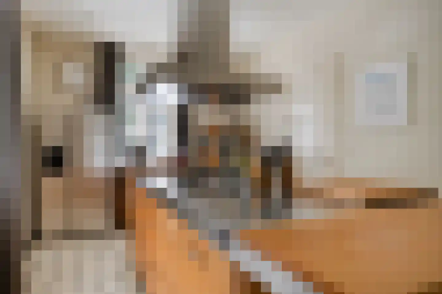 Ubbergse Holleweg 20 Ubbergen thumbnail 9