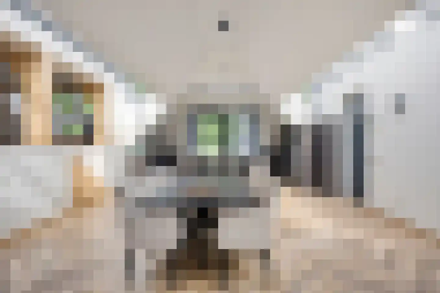 Ubbergse Holleweg 6 a Ubbergen thumbnail 4