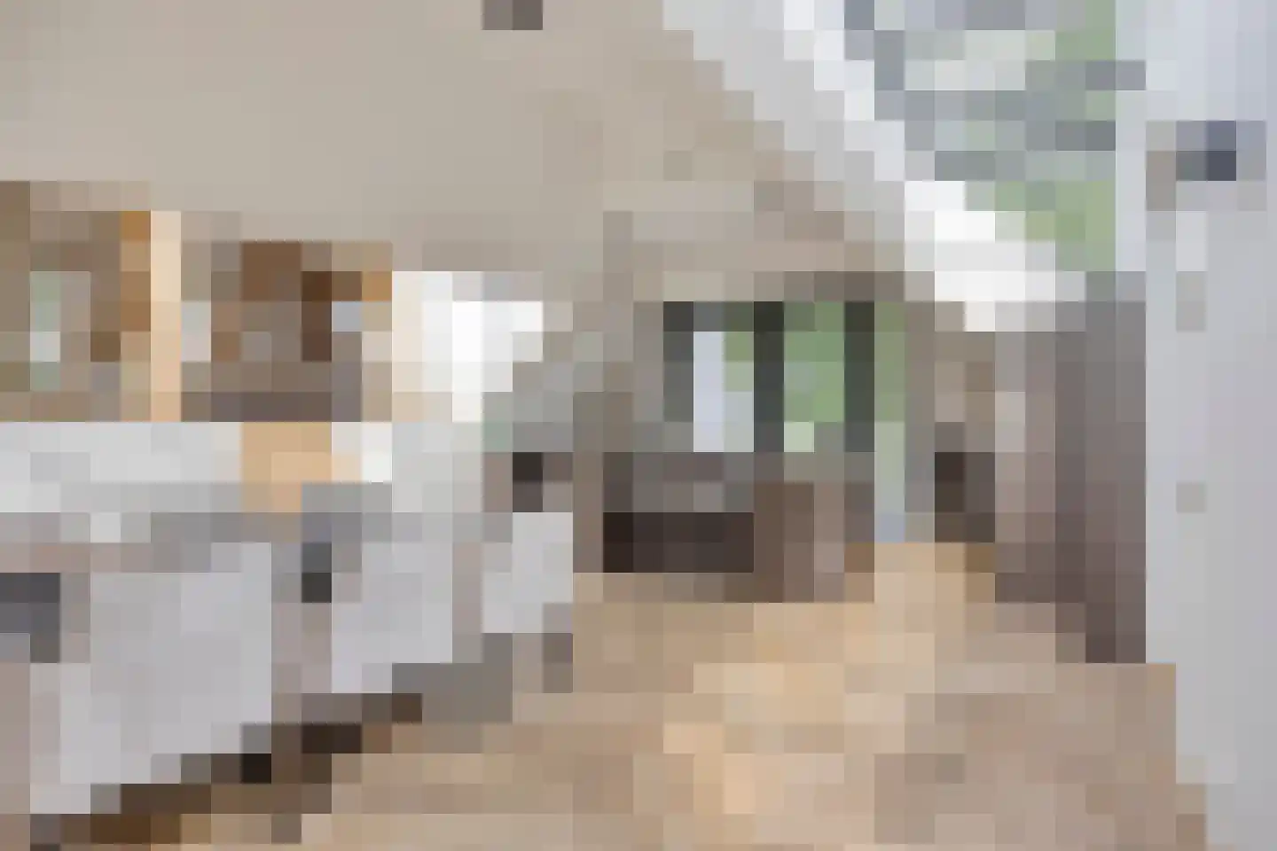 Ubbergse Holleweg 6 a Ubbergen thumbnail 5