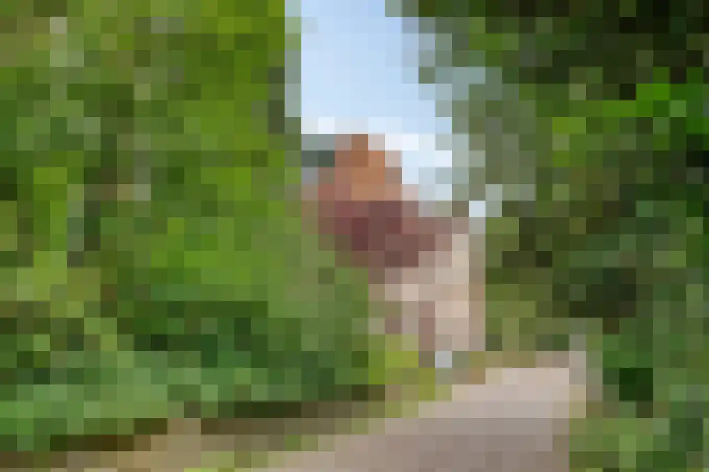 Ubbergse Holleweg 6 a Ubbergen thumbnail 58