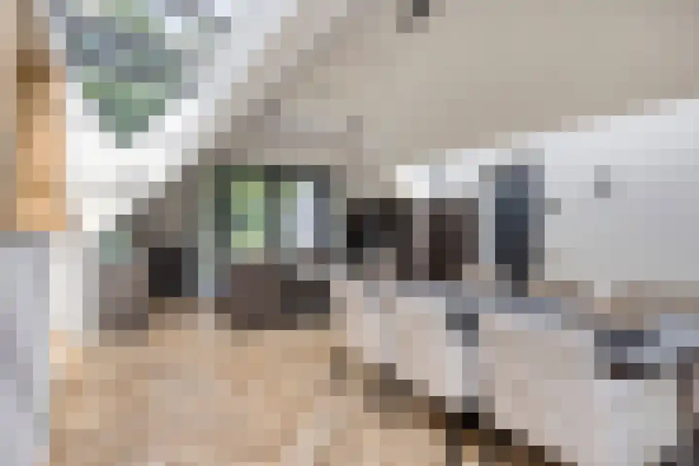 Ubbergse Holleweg 6 a Ubbergen thumbnail 6
