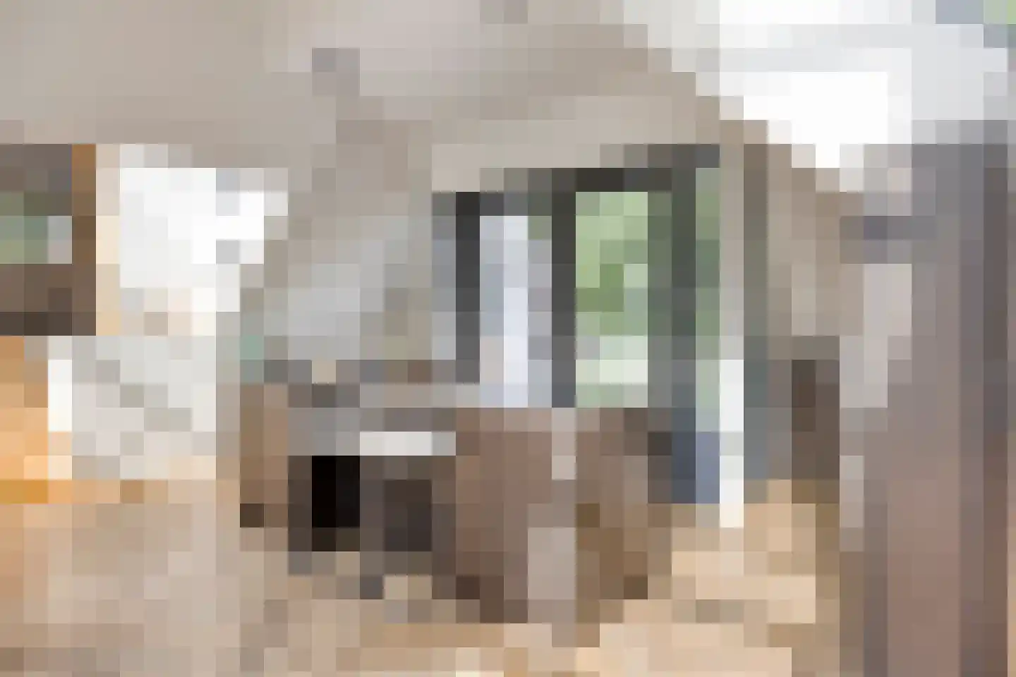 Ubbergse Holleweg 6 a Ubbergen thumbnail 8