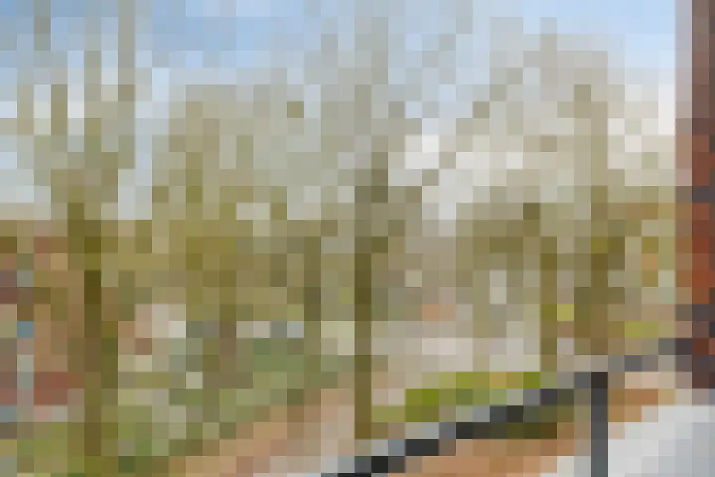 Ubbergseveldweg 105 H Nijmegen thumbnail 23