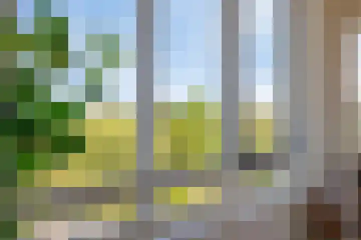 Ubbergseveldweg 109 C Nijmegen thumbnail 15