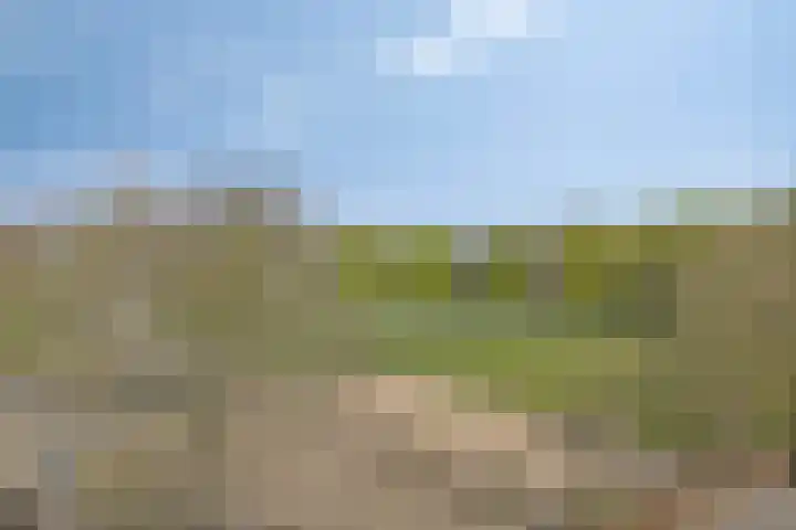 Ubbergseveldweg 109 C Nijmegen thumbnail 41