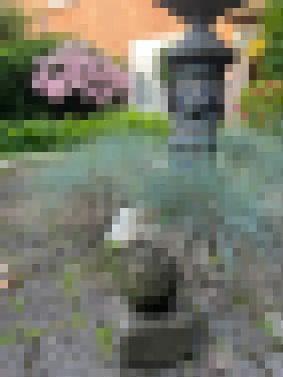 Ubbergseveldweg 17 Nijmegen thumbnail 57