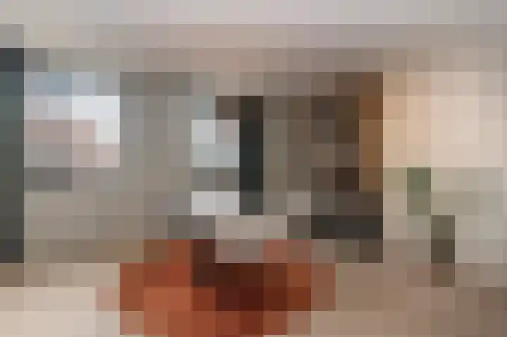 Ubbergseveldweg 66 E Nijmegen thumbnail 16