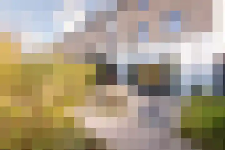 Ubbergseveldweg 66 E Nijmegen thumbnail 32