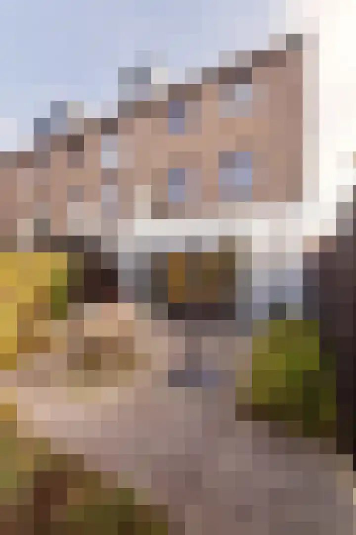 Ubbergseveldweg 66 E Nijmegen thumbnail 33