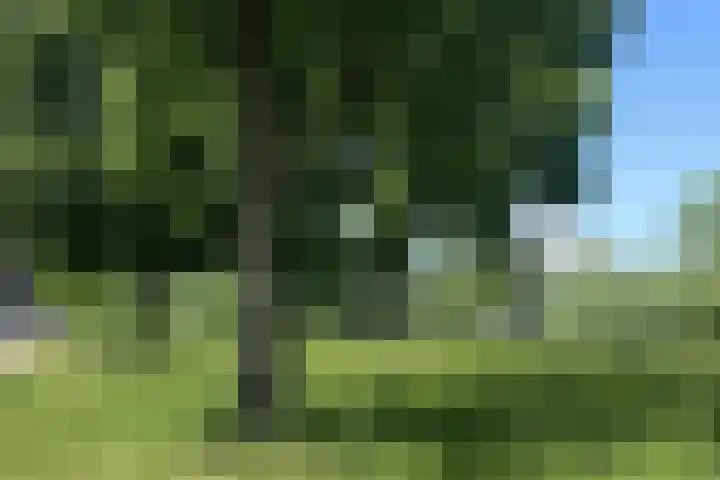 Ubbergseweg 128 Nijmegen thumbnail 43