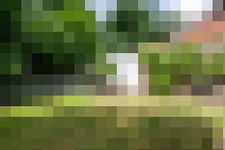 Ubbergseweg 180 Nijmegen thumbnail 47