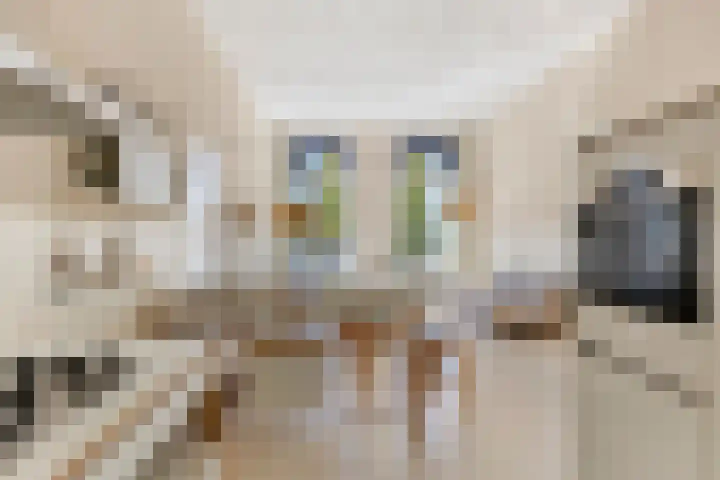 Ubbo Emmiussingel 37 a Groningen thumbnail 20