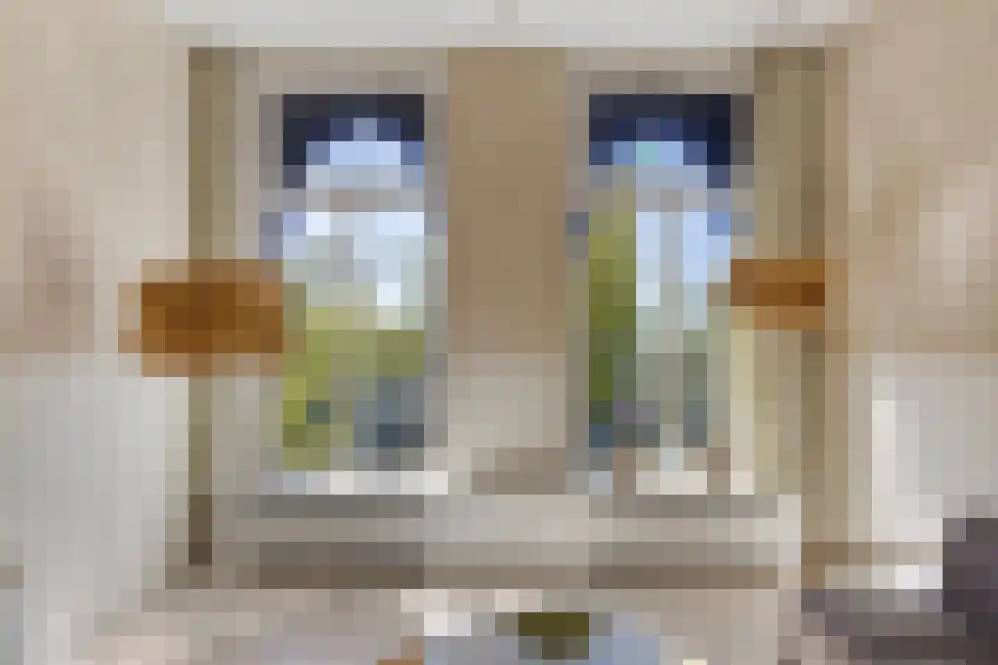 Ubbo Emmiussingel 37 a Groningen thumbnail 22