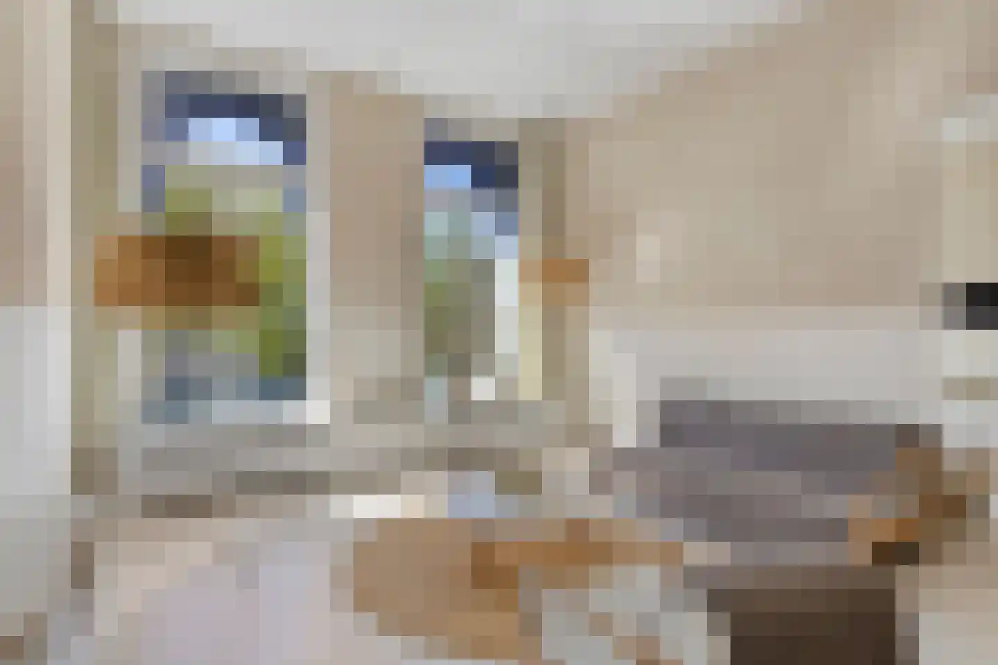 Ubbo Emmiussingel 37 a Groningen thumbnail 24
