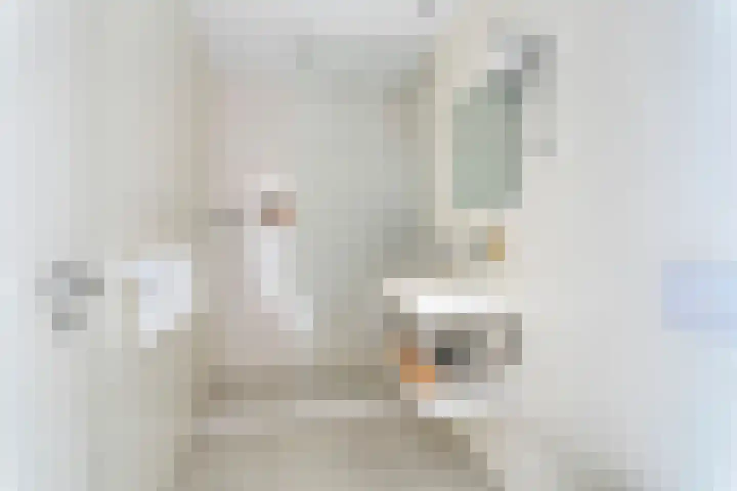 Ubbo Emmiussingel 37 a Groningen thumbnail 36