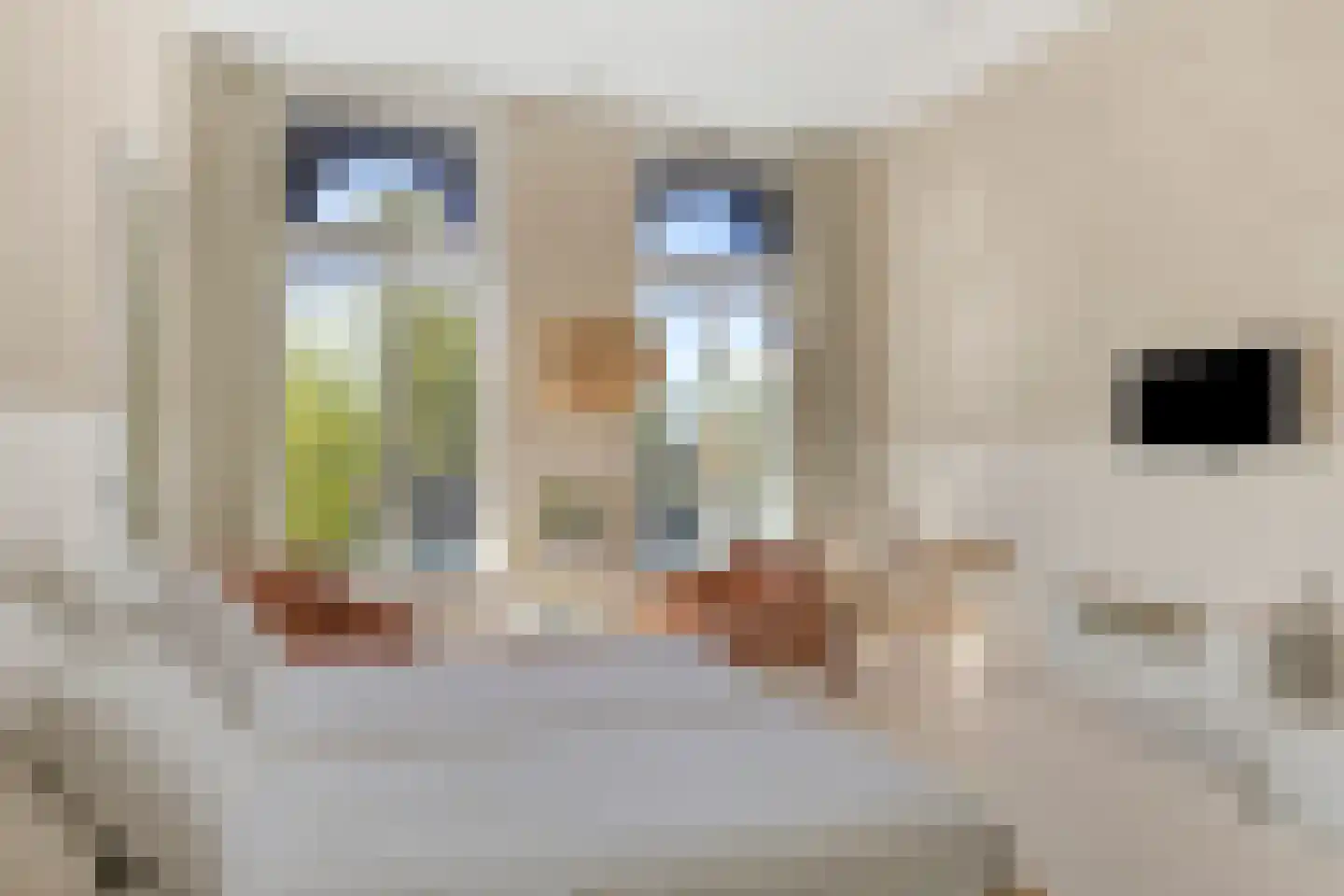Ubbo Emmiussingel 37 a Groningen thumbnail 39