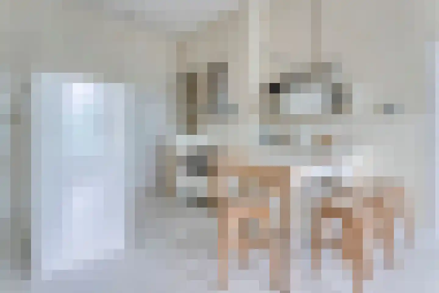 Ubbo Emmiussingel 37 a Groningen thumbnail 4