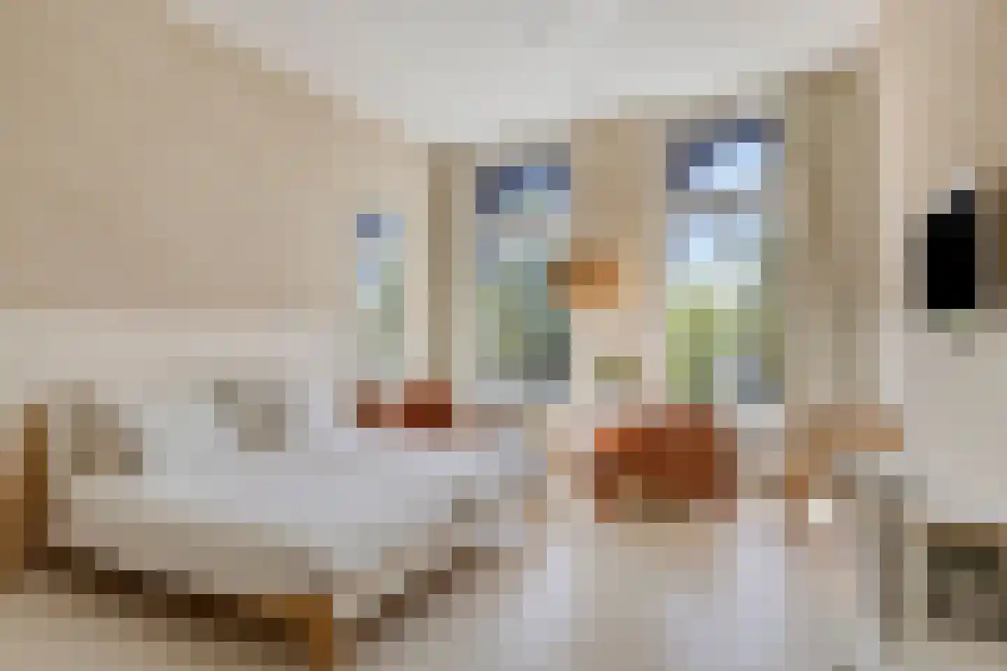 Ubbo Emmiussingel 37 a Groningen thumbnail 40