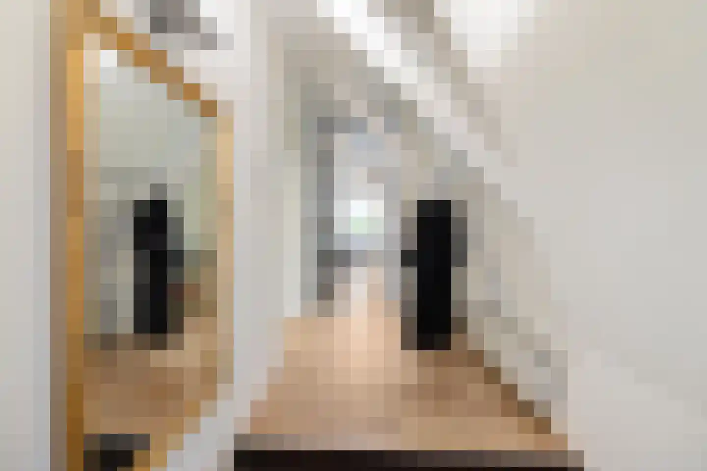 Ubbo Emmiussingel 37 d Groningen thumbnail 13